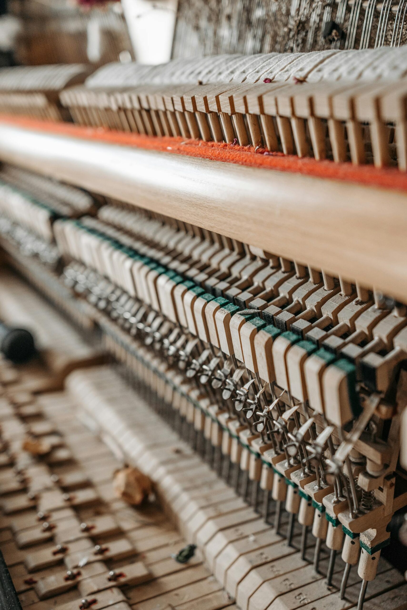 pexels-pavel-danilyuk-7521179